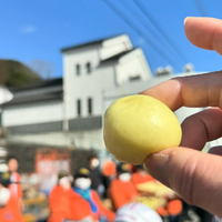 画像697