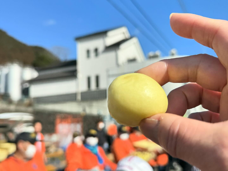 画像697