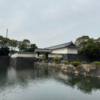 画像738