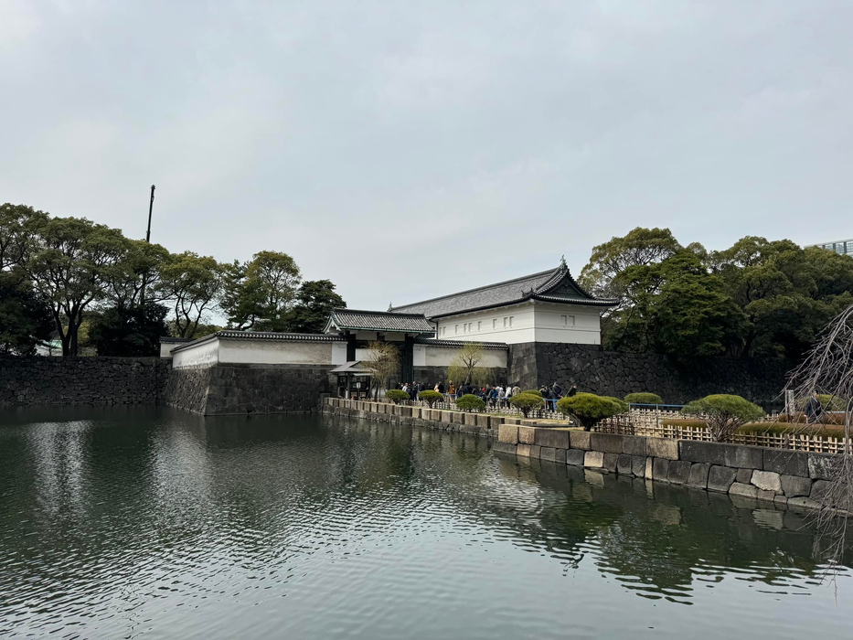 画像738