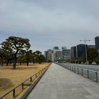 画像739