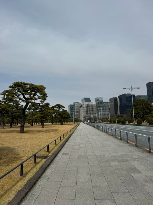 画像739