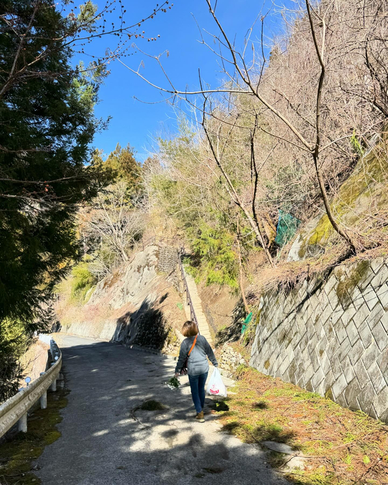 画像745