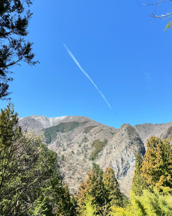 画像746