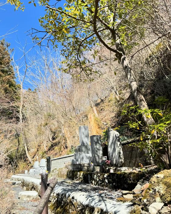 画像747
