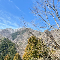画像751