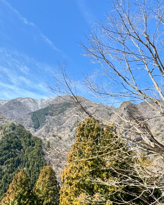 画像751