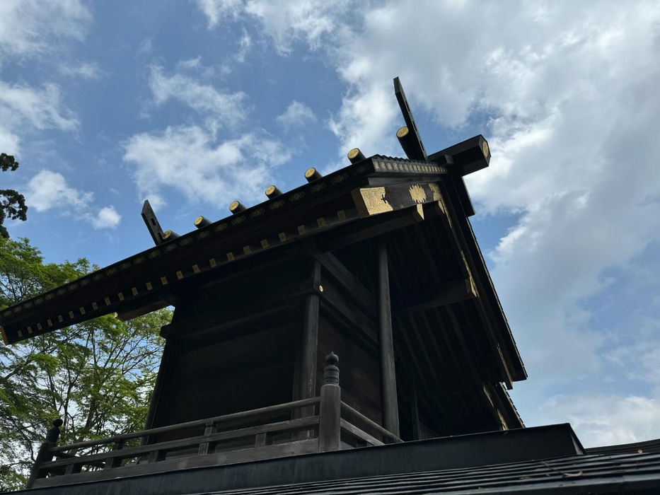 画像793