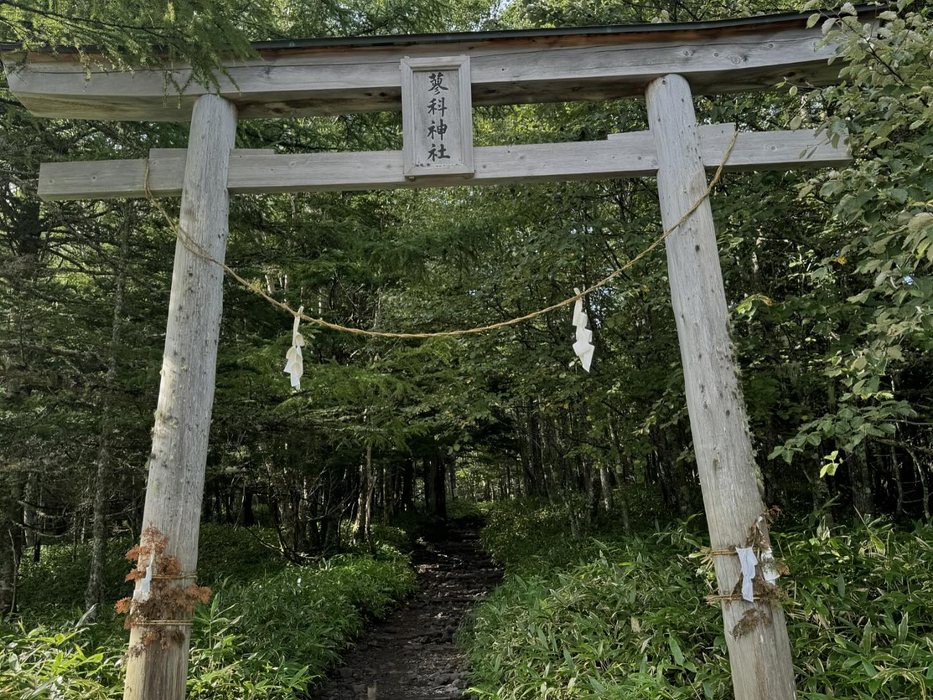 画像990